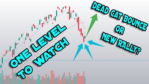 DEAD CAT BOUNCE OR NEW RALLY? - ONE LEVEL TO WATCH.