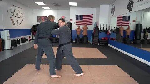 Executing the American Kenpo technique Twirling Wings