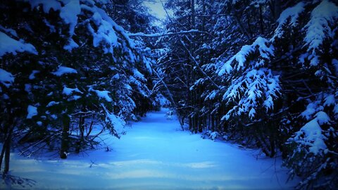 Winter Waltz Music – Snowbell Woods [2 Hour Version]