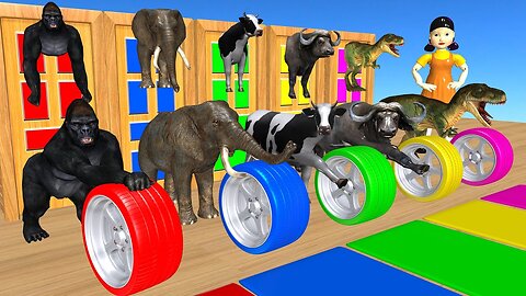 Animal Bike Race | Paint Animal | Color Animal | Tiger, Gorilla, Elephant, Cow, Bull| Animal Game