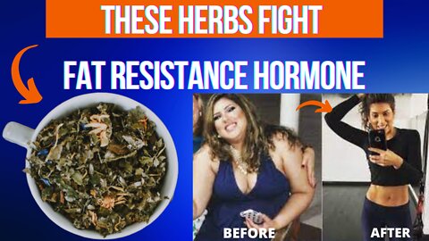 THIS NATURAL REMEDY FIGHTS THE FAT RESISTANCE HORMONE ┃Lose Weight With These Herbs