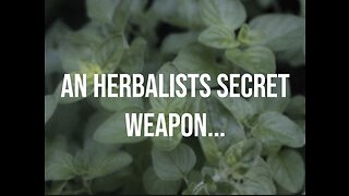Herbalist secret weapon to preserve without tincturing