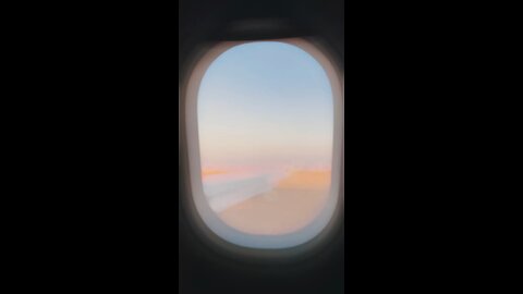 Plane View