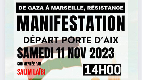 Manif pro Palestine à Marseille, commentée par Salim Laïbi