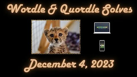 Wordle & Quordle of the Day for December 4, 2023 ... Happy Cheetah Day!