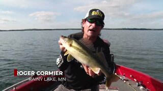 Swimbait Fishing on Rainy Lake