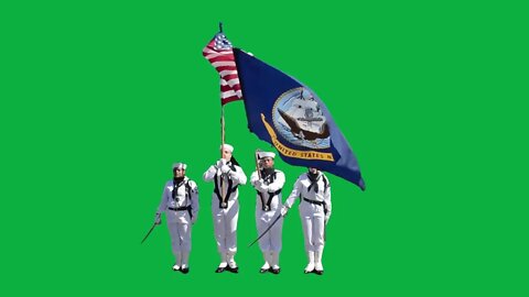 GreenScreen Us Navy colors