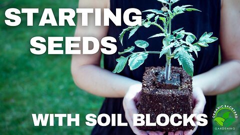 How to Use Soil Blocks for Seed Starting - Gardening Tips and Tricks