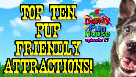 TOP TEN DOG-FRIENDLY ATTRACTIONS USA ! - Dandy Fun House episode 17
