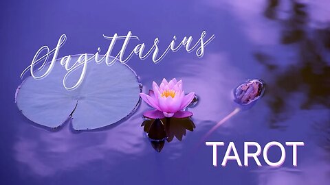 SAGITTARIUS NOVEMBER 2023 TAROT ♐️ YOUR LOVE TRAVELS TOWARDS YOU #sagittarius #tarot #oracle