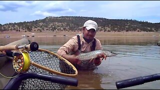 Tigers in New Mexico (2011 Flashback Tiger Muskie) - New Mexico Fly Fishing