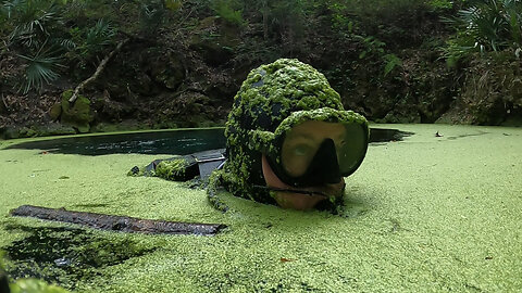 Cave Diving Florida's Peacock Springs - Gateway to the Aquifer