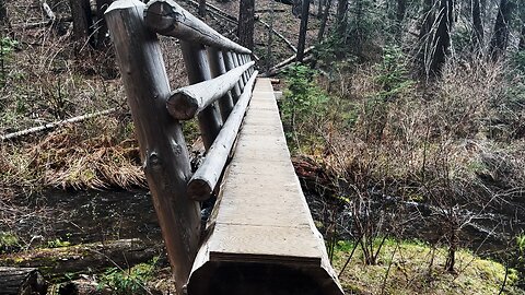 Crossing RUSTIC Log Bridge & JADE Colored Metolius River in Central Oregon 4K!