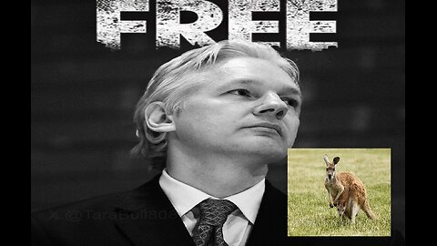 Julian Assange FREE