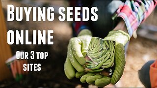 Best Place to Buy Seeds For Your Garden Online - My Favorite Seed Companies