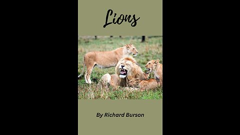 Lions by Richard Burson