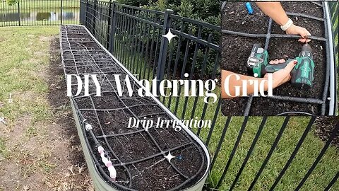 Build Your Own Drip Watering Grid