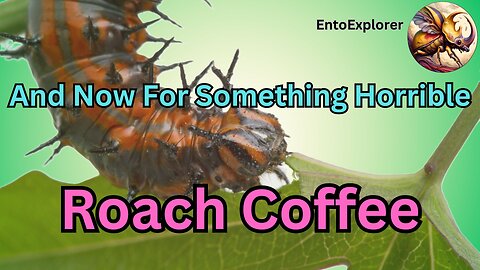 And Now For Something Horrible - Cockroach Coffee