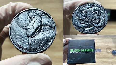 2023 BLACK MAMBA 2 Oz Silver Coin 10000 Francs Chad