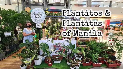 Craftsy Seeds - Plantitos & Plantitas Of Manila