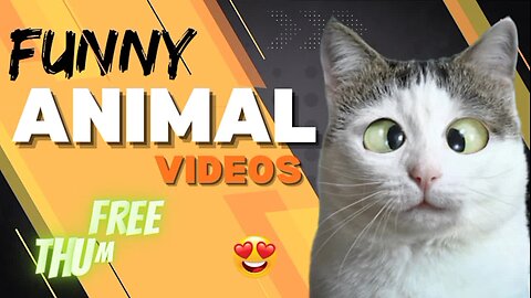 5 minutes funny cat dog compilation funny animal videos