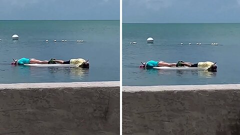 Couple have a romantic snorkeling experience on a SUP