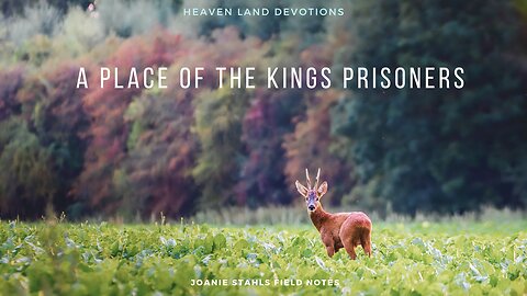 Heaven Land Devotions - A Place Of The Kings Prisoners