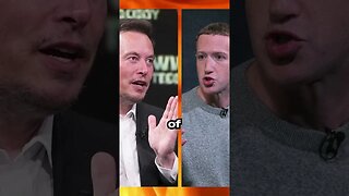 Elon Musk Agrees To FIGHT Mark Zuckerberg?!