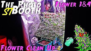 The Photo Booth S7 Ep. 8 | Flower Weeks 3 & 4 | Flower Clean Up | AirCube System Grow