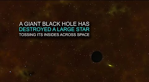 Quick Look : A Giant Black Hole Destroyed a Massive Star.