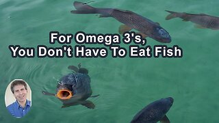 For Omega 3's, You Don't Have To resport To Eating Fish