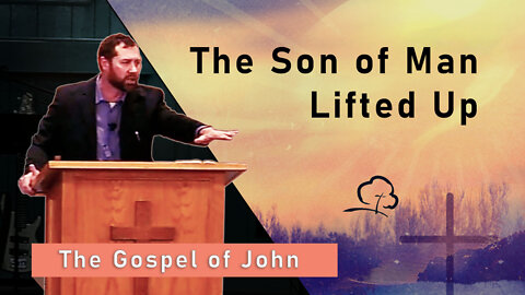 The Son of Man Lifted Up