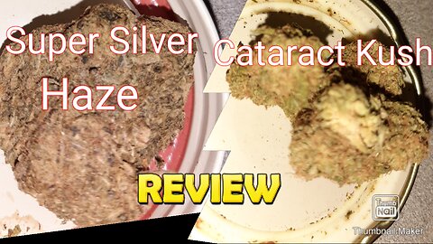 S5 Episode 6 Super Silver Haze + Cataract Kush