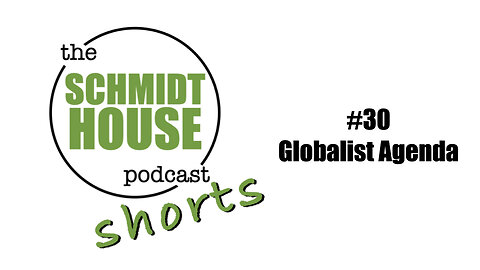 Shorts #30 Globalist Agenda