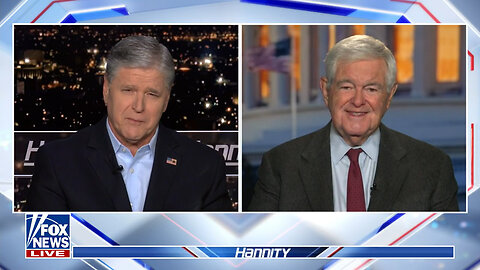 Newt Gingrich: The Left Is 'Running In Circles And Saying Weird Things'