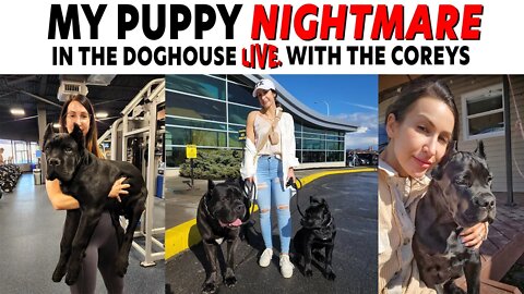 PUPPY IS A NIGHTMARE - In The Doghouse LIVE With The Coreys