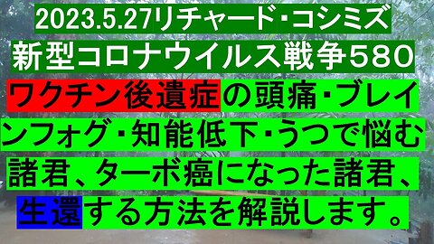 2023.05.28 リチャード・コシミズ新型コロナウイルス戦争５８０