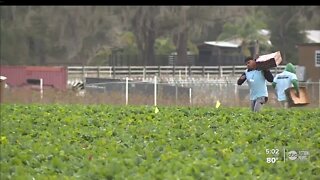 Inflation impacts local farmers as production costs rise