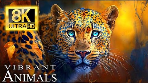 Vibrant Animals: Discover the Beauty of Nature in Stunning 8K HDR | Ultra HD Wildlife Video