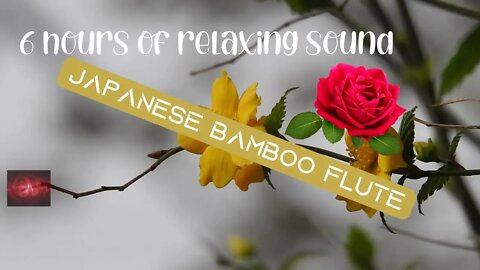 🔴 6 hours of Japanese Bamboo Flute. Calm Music for Yoga & Sleep 🔴