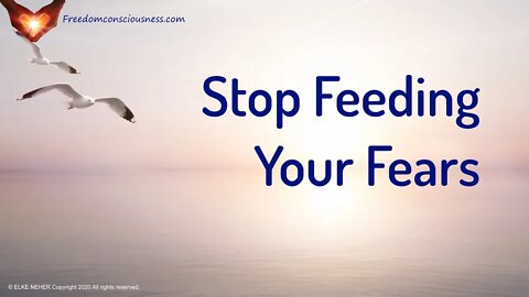 Stop Feeding Your Fears (Energy Healing/Frequency Healing Music)