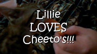 Lillie Loves Cheeto's!