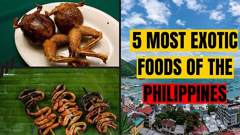 Top 5 Most Exotic Foods In The Philippines