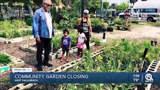 Community garden closing in West Palm Beach