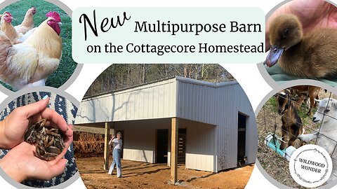 New Multipurpose Barn on the Homestead