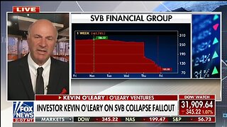Mr Wonderful Breaks Down Silicon Valley Bank Collapse