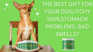 THE BEST GIFT FOR YOUR DOG,ITCHY SKIN,STOMACH PROBLEMS,BAD SMELLS?