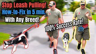 STOP Leash Pulling with ANY BREED Right NOW! SO EASY!