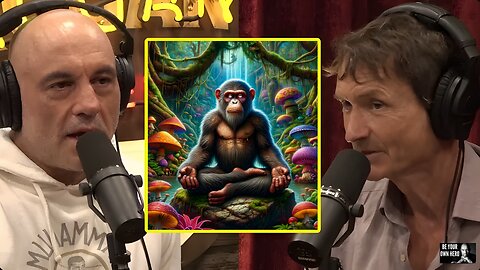 Are ALL Humans On Drugs?? "Stoned Sapiens" - Joe Rogan And Norman Ohler