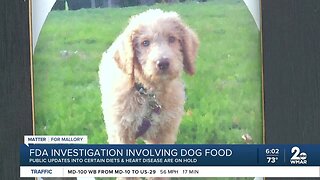 FDA investigation involving dog food